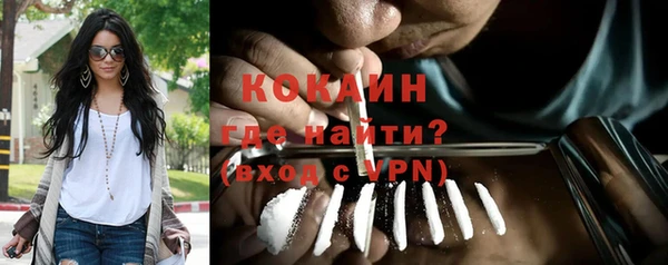 СК Вязьма