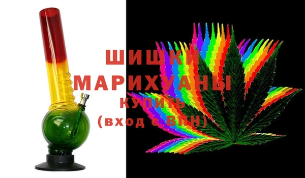 СК Вязьма