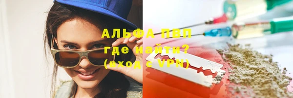 СК Вязьма