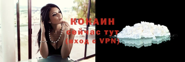 ПСИЛОЦИБИНОВЫЕ ГРИБЫ Горняк