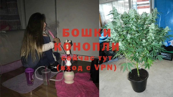 тгк Горнозаводск