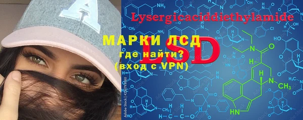ПСИЛОЦИБИНОВЫЕ ГРИБЫ Горняк