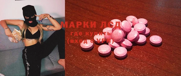 СК Вязьма