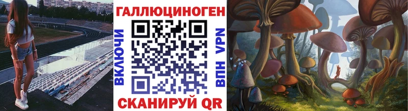 Псилоцибиновые грибы мухоморы Западная Двина